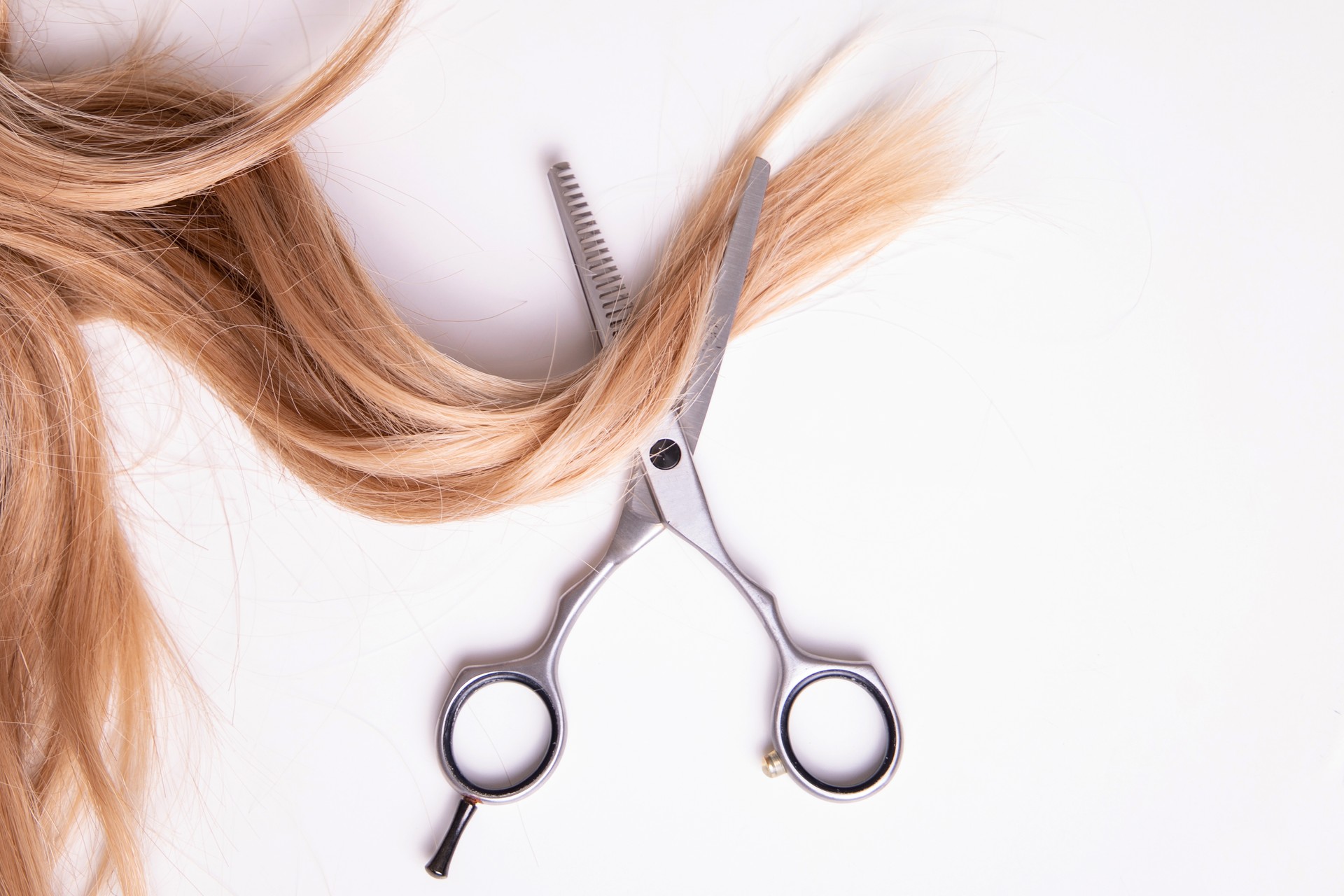 Scissors and blonde hair on white background