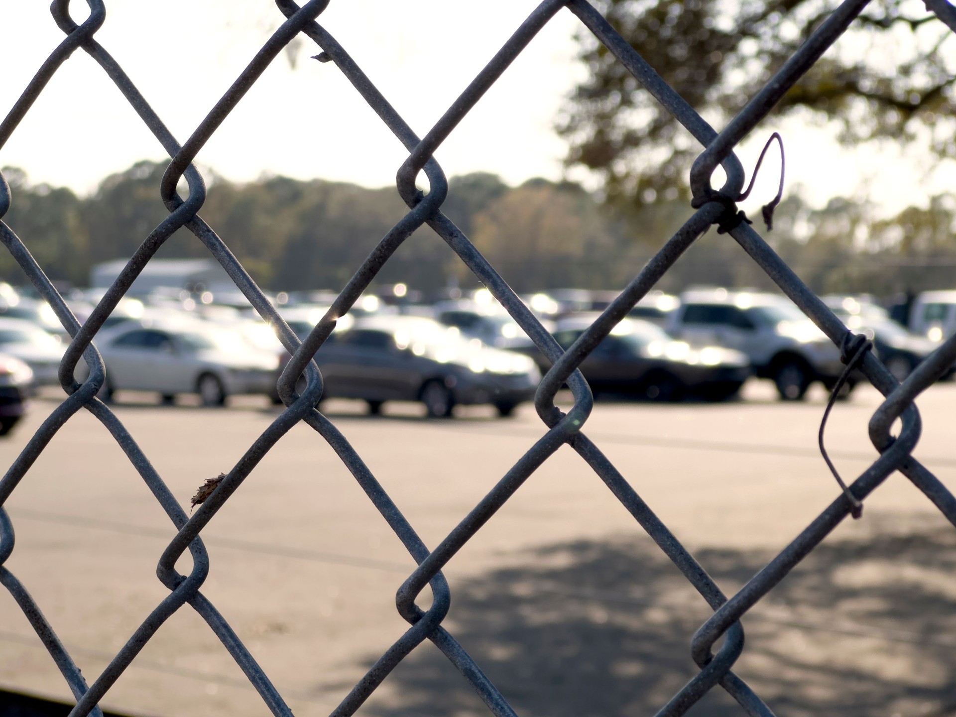 Large group of cars on parking lot